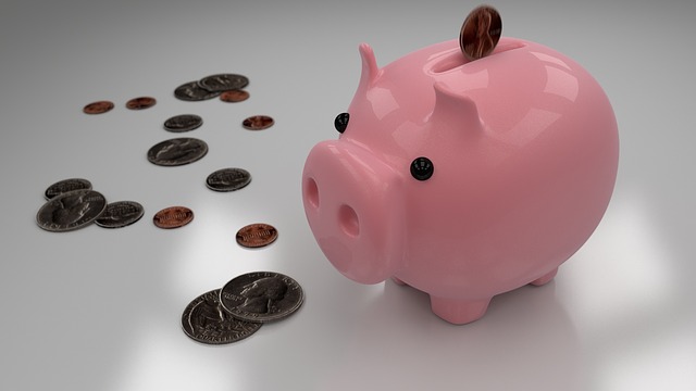 Savings in Piggy Bank