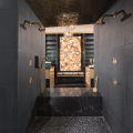 The New American Home 2019_master bath_shower