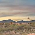 Desert landscape around the Project of the Year / Gold / One-of-a-Kind Custom Home: Saguaro Ridge 
