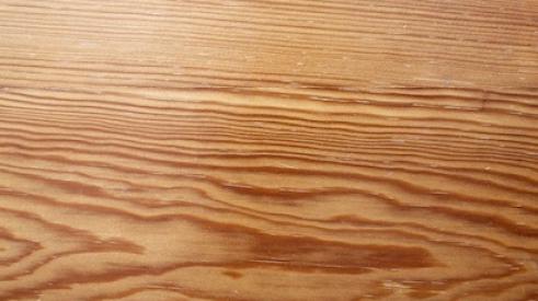 Closeup of wood grain