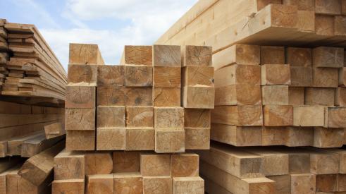 Pile of softwood lumber