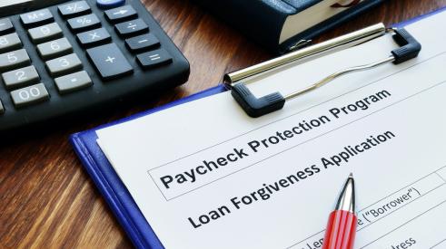 Payment protection program application