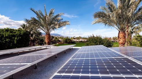Solar panels on rooftop in California next to palm trees