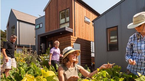 Green Homes Aren’t Green Enough Without Neighbors
