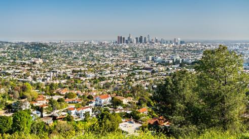 LA suburb and city in background seen from Hollywood Hills