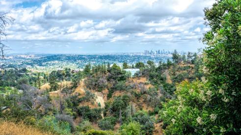 Los Angeles skyline seem from distance in dry forest experiencing drought