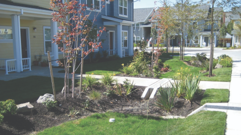 Oregon rain garden in new homes community