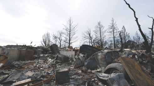 Landscape showing wildfire damage