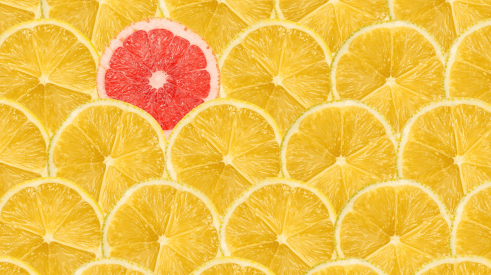 Orange slice stands out from crowd of lemon slices