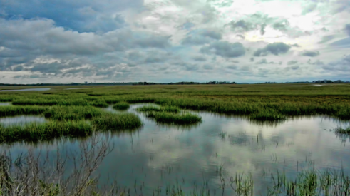 U.S. wetlands