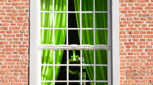 Window with green curtains