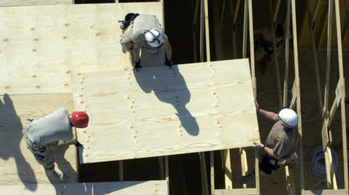 construction workers installing plywood