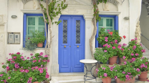 Home with a cheery entry area with potted pelargoniums and a purple door