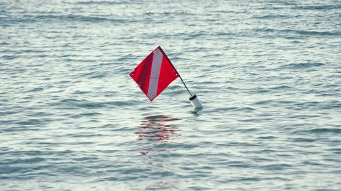 Red flag in ocean