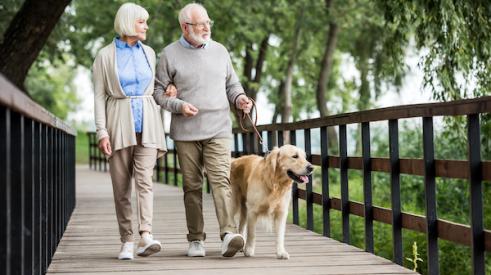 Elderly couple walking on bridge