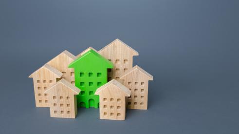 Small green wooden house surrounded by unpainted wood houses