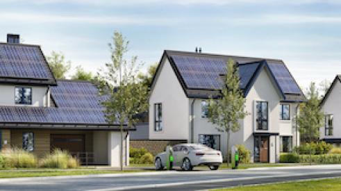 Green homes are growing in popularity
