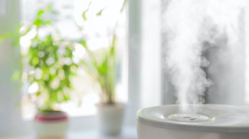 A humidifier in a home with indoor plants on the window sill for healthier indoor air