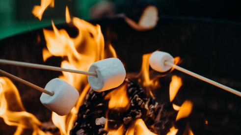 Roasting marshmallows over fire