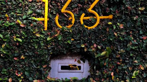 Wall covered in plant with mail slot and address numbers