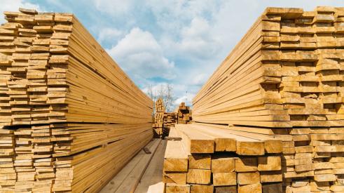 Lumber stacked in lumber yard