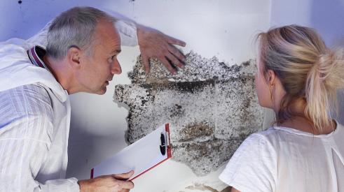 Discovering mold in the wall of a new-construction home