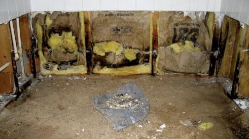 Mold remediation is needed for the mold in this home's walls and framing