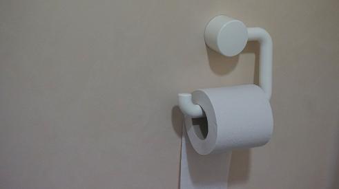 Toilet paper and holder