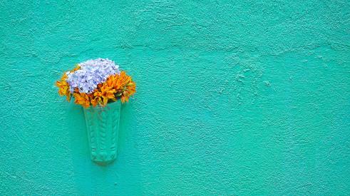 Flowers hanging on a teal wall