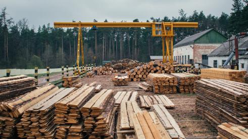 sawmill production