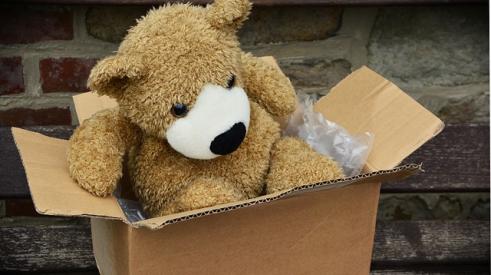 Stuffed Bear in Box