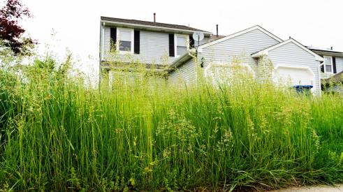 Vacant house surrounded by overgrown grass