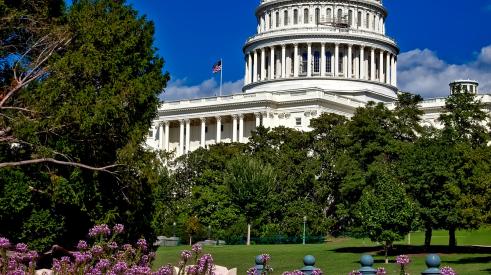 Washington D.C. Capitol Building