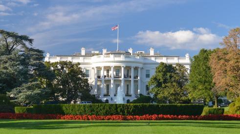 White house lawn