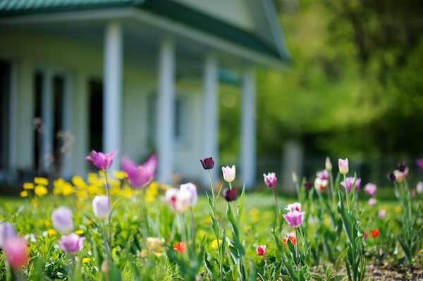 Spring buying season for homes