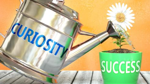 Curiosity watering can and success flower pot