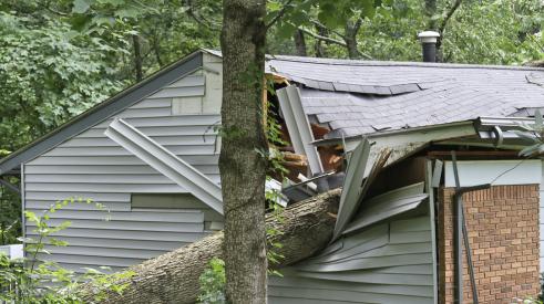 Storm damage from tree falling on a roof